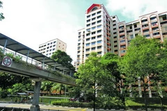 Singapore là một trong những thành phố có mật độ tập trung dân cư cao (Nguồn: TODAY)