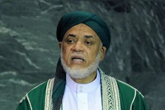 Tổng thống Comoros Abdallah Sambi. (Nguồn: Getty Images)