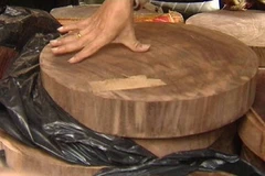 Số gỗ bị bắt. (Ảnh: Trần Đình Anh/Vietnam+)