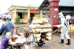 (Ảnh minh họa: Đình Huệ/TTXVN)