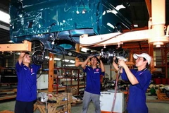 (Ảnh minh họa: Hồng Kỳ/TTXVN)