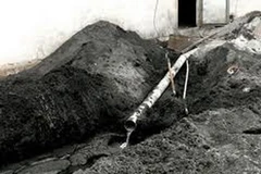 Ảnh minh họa. (Nguồn: Internet)