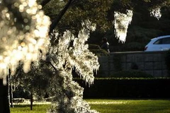 Đường phố Bắc Kinh. (Nguồn: AFP/TTXVN)