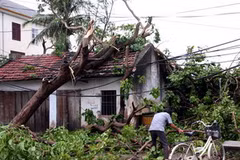 Nhân dân thị trấn Cầu Giát, huyện Quỳnh Lưu đang khắc phục hậu quả mưa bão. (Ảnh: Ngọc Hà/TTXVN)