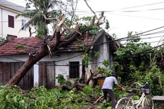 Nhân dân thị trấn Cầu Giát, huyện Quỳnh Lưu đang khắc phục hậu quả mưa bão. (Ảnh: Ngọc Hà/TTXVN)