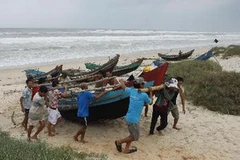 Ngư dân Quảng Trị vận chuyển ngư lưới cụ lên bờ phòng chống bão số 11. (Ảnh: Hồ Cầu/TTXVN)