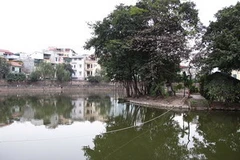 Ảnh chỉ có tính minh họa. (Nguồn: Internet)