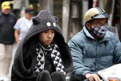 (Ảnh minh họa: Nhật Anh/TTXVN)