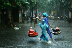 Ảnh minh họa. (Nguồn: Internet)