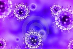 Ảnh minh họa. (Nguồn: Internet)