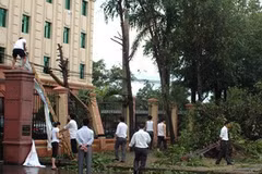 Cán bộ và nhân viên Bệnh viên đa khoa thành phố Vinh thu dọn cây đổ để tiếp đón bênh nhân ngay trong sáng ngày 25/8. (Ảnh: Lan Xuân/TTXVN)
