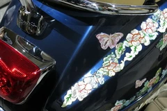 Vespa khảm trai. (Ảnh: Văn Xuyên/Vietnam+)