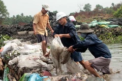 Đắp đoạn đê vỡ. (Ảnh minnh họa: Thắng Giang/TTXVN)