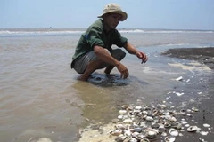 Ảnh minh họa. (Nguồn: Internet)