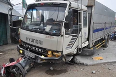 (Ảnh minh họa: Mạnh Linh/TTXVN)