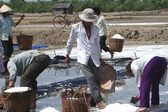 (Ảnh minh họa: Huỳnh Sử/TTXVN)