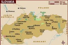 Ảnh minh họa. (Nguồn: Internet)