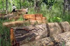 Ảnh minh họa. (Nguồn: Internet)