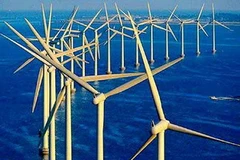 Ảnh minh họa. (Nguồn: Internet)