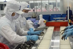 Chế biến xuất khẩu thủy sản ở Công ty cổ phần thực phẩm Đại Dương, tỉnh Cà Mau. (Ảnh: Lê Huy Hải/TTXVN) 