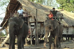 Tour du lịch sinh thái bằng voi ở Buôn Đôn. (Ảnh: Thanh Hà/TTXVN)