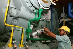 (Ảnh: Ngọc Hà/TTXVN)