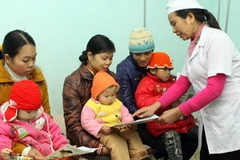 (Ảnh minh họa: Dương Ngọc/TTXVN)