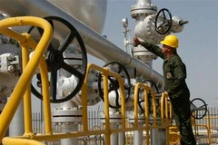 Ảnh chỉ mang tính minh họa. (Nguồn: Internet)