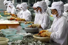 Chế biến tôm đông lạnh tại Công ty xuất nhập khẩu thủy sản Thanh Hóa. (Ảnh: Đình Huệ/TTXVN)