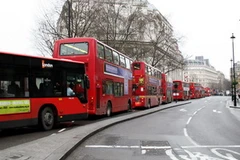 Xe buýt cũng là nỗi lo của những người thích đạp xe. (Nguồn: Internet)