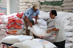 Bốc xếp gạo xuất khẩu tại công ty Lương thực Đồng Tháp. (Ảnh: Đình Huệ/TTXVN)