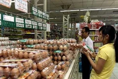 (Ảnh minh họa: Thanh Vũ/TTXVN)