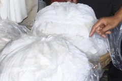 (Ảnh minh họa: Duy Khương/TTXVN)