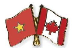 Ảnh minh họa. (Nguồn: Internet)