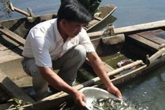 Ảnh minh họa. (Nguồn: Internet)