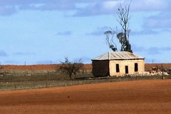 Ảnh minh họa. (Nguồn: Internet)