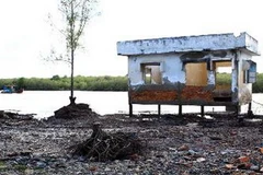 Biển đang xâm thực ngày một sâu vào đất liền tại Bạc Liêu. (Ảnh: Duy Khương/TTXVN)