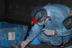 Lấy mẫu xét nghiệm tại các nhà nuôi chim yến. (Ảnh: Mạnh Linh/TTXVN)