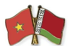 Ảnh minh họa. (Nguồn: crossed-flag-pins.com)
