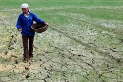 Việt Nam là một trong số các nước bị tác động nặng nề nhất của biến đổi khí hậu. (Ảnh: Lan Xuân/TTXVN)