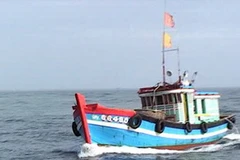 Tàu cá của ngư dân vào nơi trú ẩn an toàn. (Ảnh: Đoàn Hữu Trung/Vietnam+)