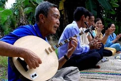 Biểu diễn Đờn ca tài tử Nam Bộ. (Ảnh: Duy Khương/TTXVN)