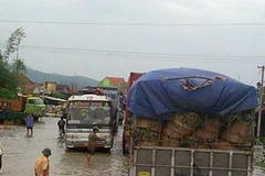 Xe ôtô lưu thông trên tuyến Quốc lộ 1A bị ngập sâu trong nước. (Ảnh: Quang Ngọc/TTXVN)