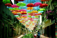 Kỳ diệu "nghệ thuật đường bộ" vòng quanh thế giới