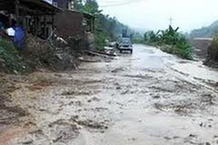 Ảnh minh họa. (Nguồn: Internet)