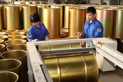 (Ảnh minh họa: Trần Việt/TTXVN)