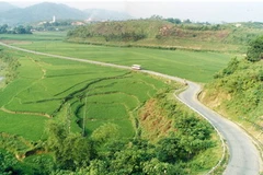 Ảnh minh họa. (Nguồn: giaothongvantai.com.vn)