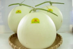 Ảnh minh họa. (Nguồn: Internet)