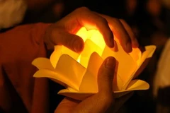 (Ảnh minh họa: Nhật Anh/TTXVN)