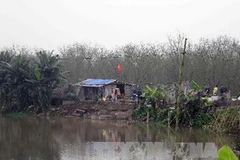 Căn nhà tạm gia đình ông Vươn mới dựng. (Ảnh: Hoàng Ngọc/TTXVN)